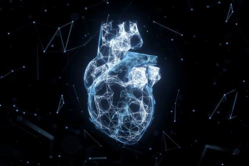 آیا هوش مصنوعی در ارزیابی سلامت قلب بهتر از متخصص سونوگرافی عمل می کند؟