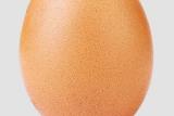 عكس یك تخم مرغ پرلایك ترین عكس اینستاگرام شد!