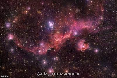 تصویر تلسكوپی خارق العاده از مرغ دریایی كیهانی