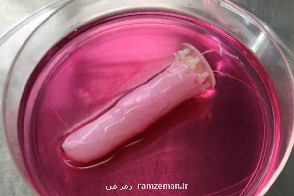 ساخت انگشت رباتیکی که با پوست انسان پوشیده شده