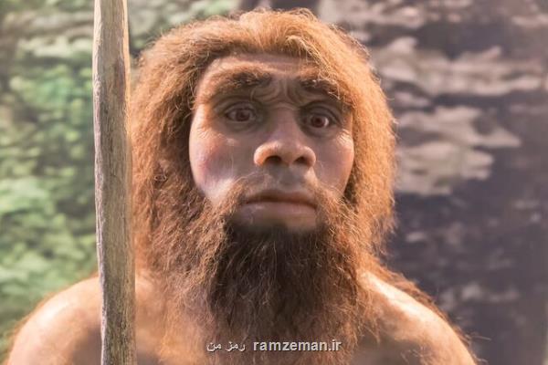 ژن های نئاندرتال می توانند متابولیسم دارو را کند کنند