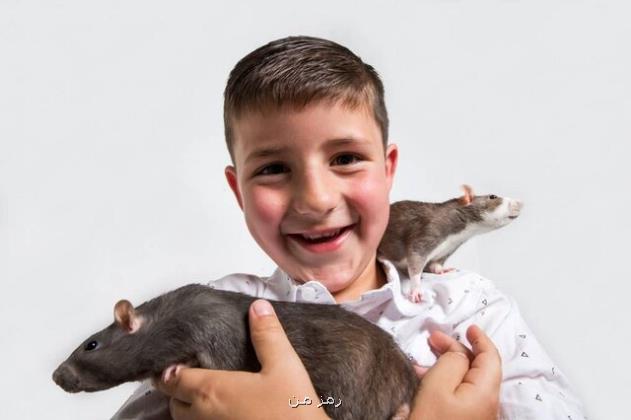 آیا موش ها انسان را از انقراض نجات می دهند؟