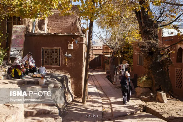 توسعه کسب و کارهای روستایی با تشکیل زیست بوم روستا