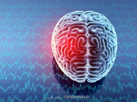 تاثیر بزرگ بودن مغز روی مبتلا شدن به سرطان