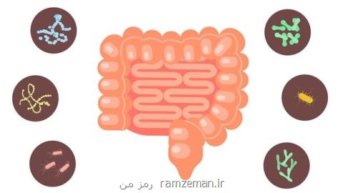 افسردگی با عملكرد روده ها مرتبط می باشد