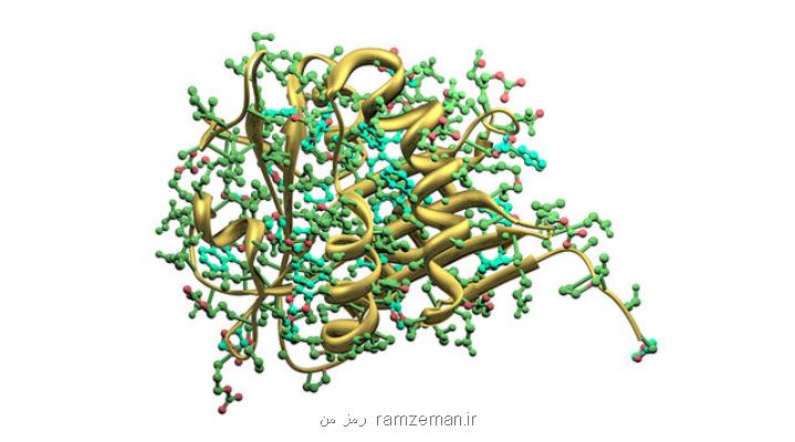 طراحی یك آنزیم مصنوعی جدید با كمك مدل سازی كامپیوتری