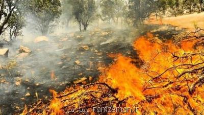 پیشبینی ماهواره ای از ریسك آتش سوزی زاگرس در هفته آینده