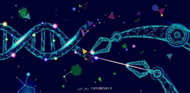 استفاده از فناوری كریسپر برای از بین بردن سلول های تومور در موش ها